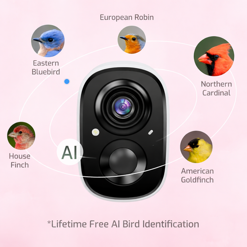 Metal Smart Bird Feeder with Camera Red