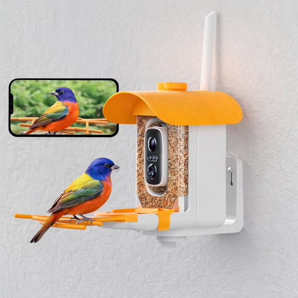 Feature product image